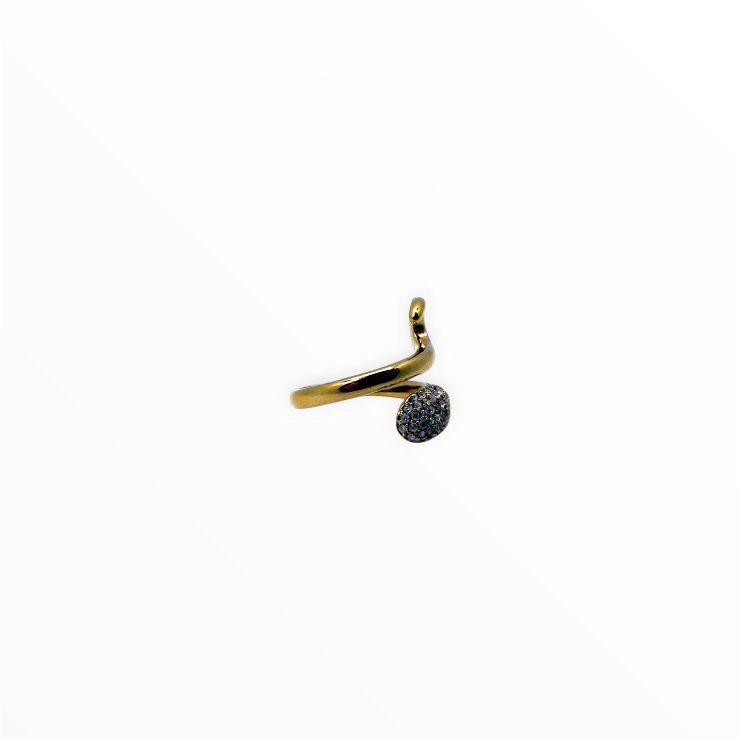 Anello Fortuna