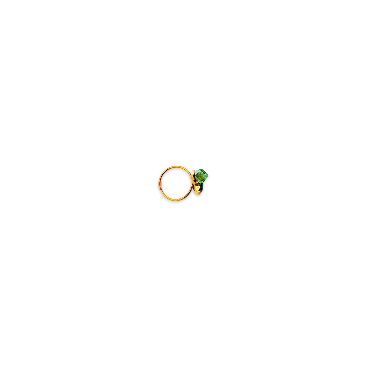 Anello Salus