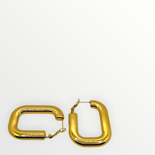 Orecchini Glossy Curve Hoop