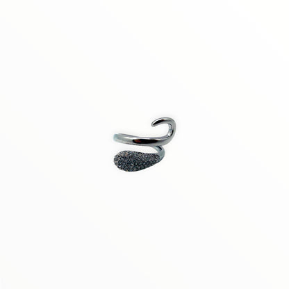 Anello Fortuna