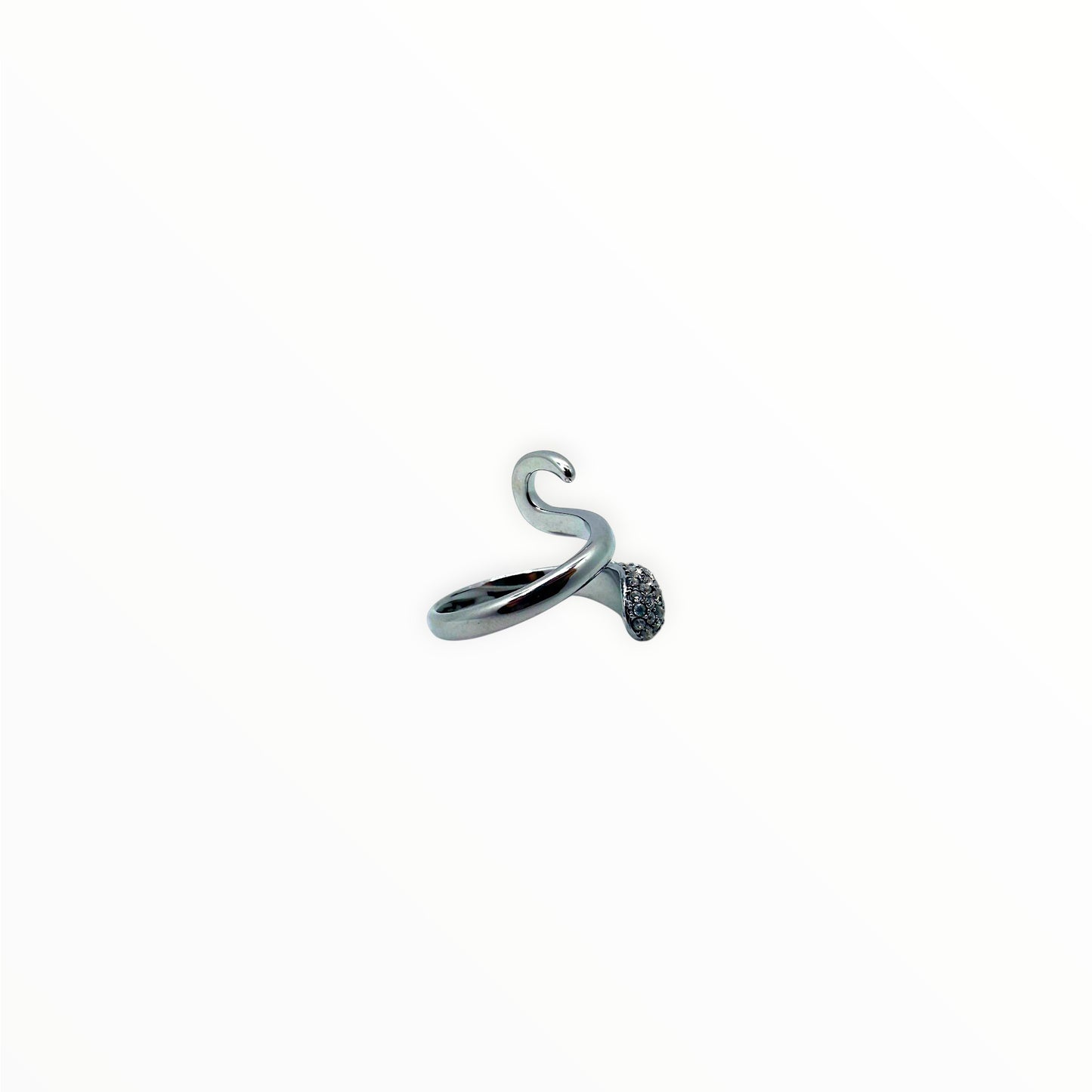 Anello Fortuna