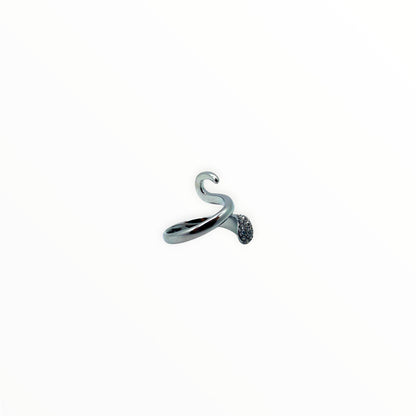Anello Fortuna
