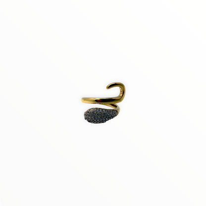 Anello Fortuna