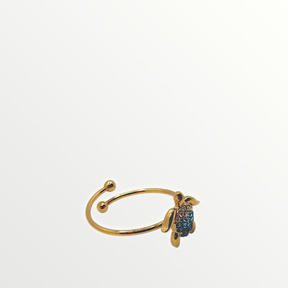 Anello Marina