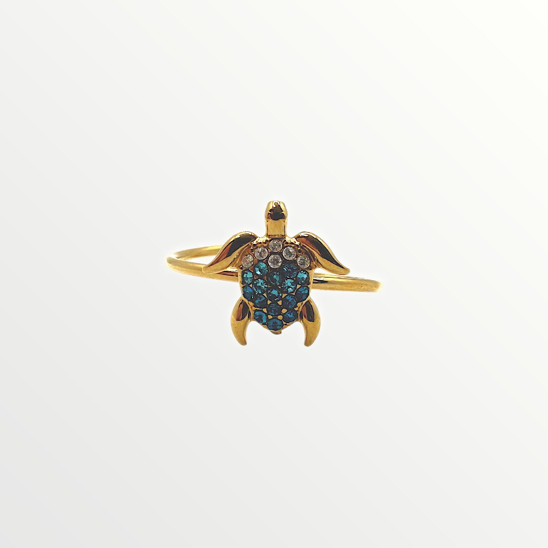 Anello Marina